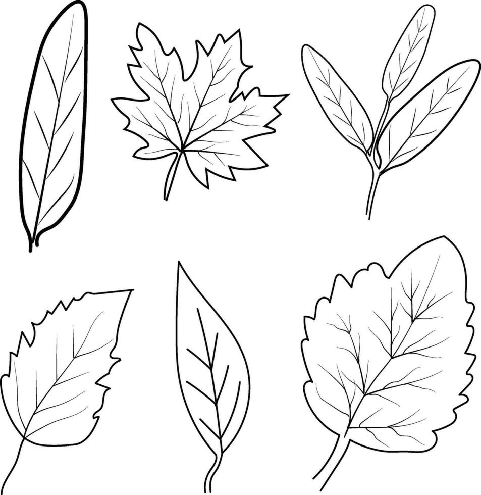 reeks van herfst blad kleur vel, herfst vallend blad pandrecht tekeningen, hand- tekening bladeren lijn kunst, zwart silhouetten van gras, bloemen, en kruiden. schattig bloem vector illustratie in hand- getrokken stijl