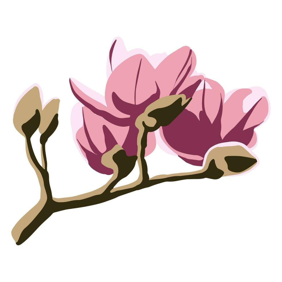 magnolia bloem vector kleur illustratie