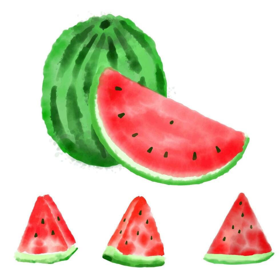 watermeloen waterverf verf geïsoleerd Aan wit achtergrond vector. vector