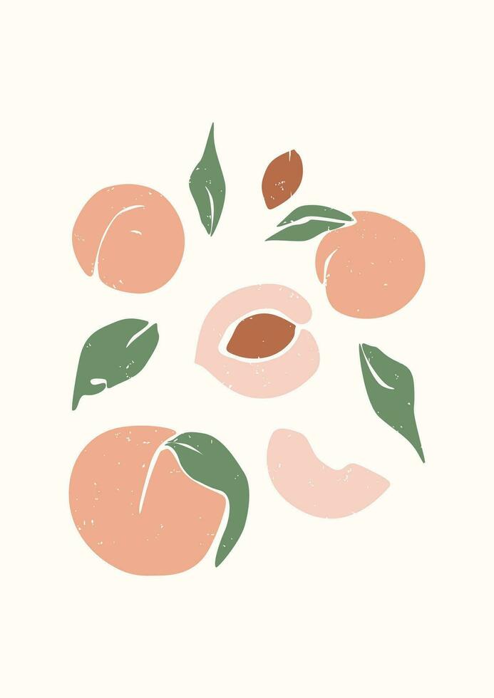 perziken Aan een beige achtergrond. abstract boho poster met perzik fruit. botanisch muur kunst print.mid eeuw modern ontwerp. vector