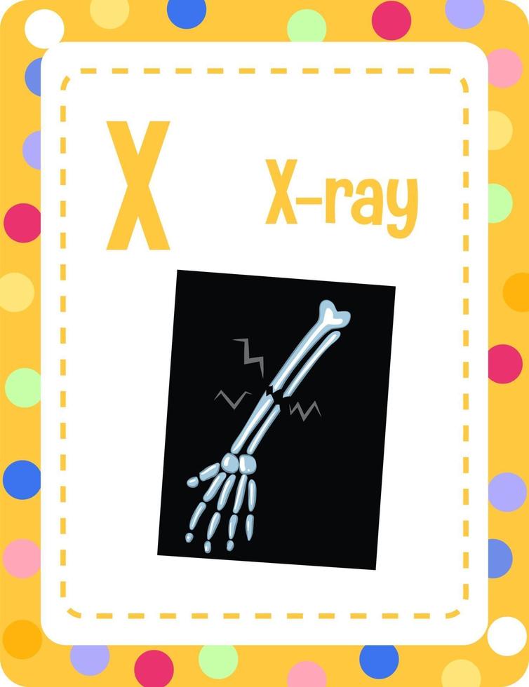 alfabet flashcard met letter x voor x-ray vector