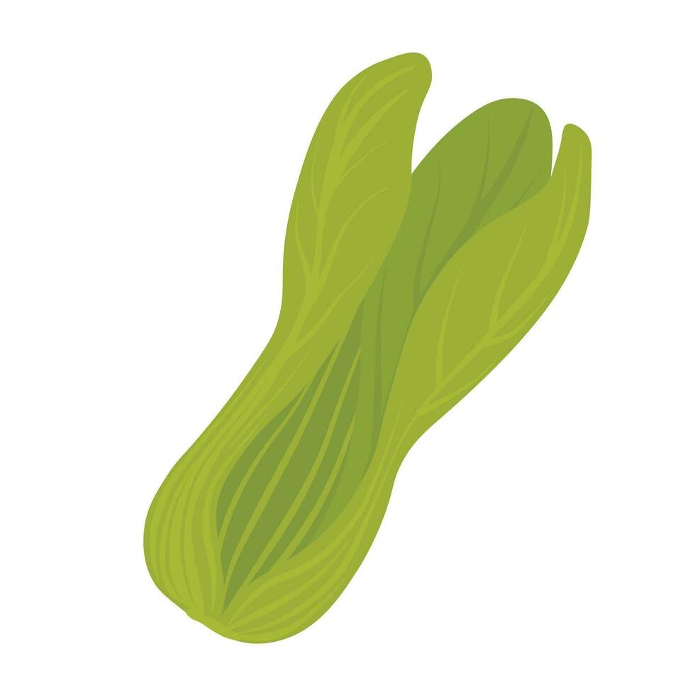 bok choy vector voorraad illustratie. groen sla bladeren. geïsoleerd Aan een wit achtergrond.