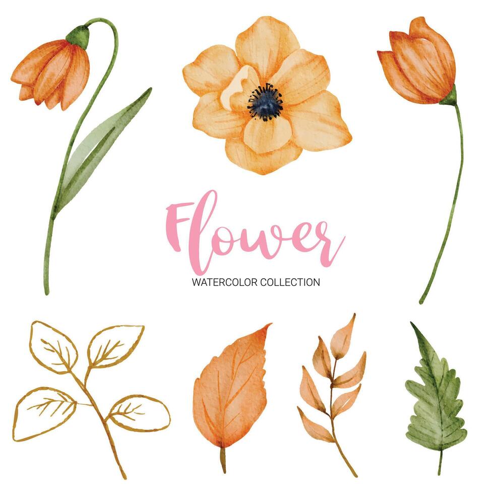 vele soorten mooie bloemen in aquarelstijl vector