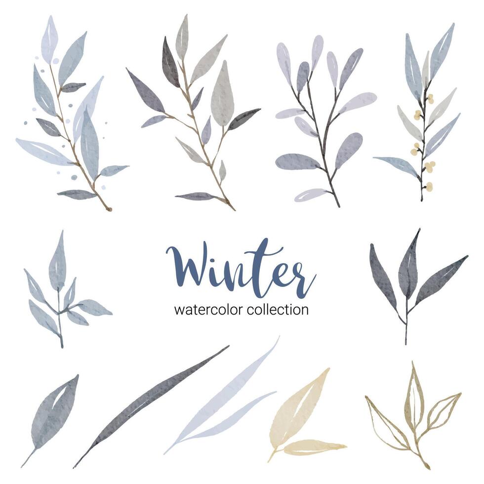 winter aquarel collectie met verschillende soorten bladeren vector