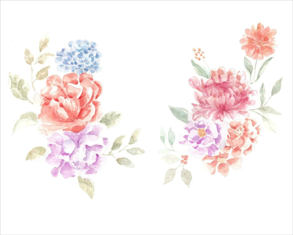 roos en hortensia waterverf bloem vector
