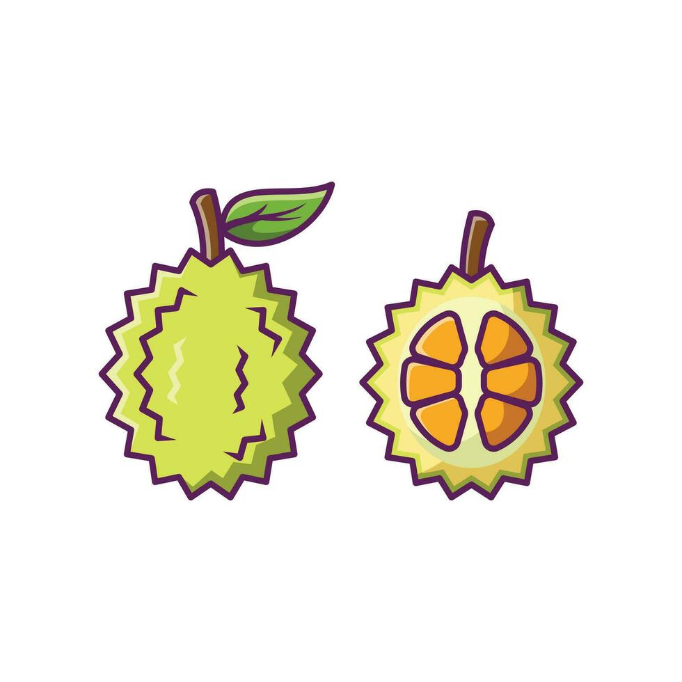 durian fruit tekenfilm vector illustratie ontwerp. fruit premie illustratie geïsoleerd.