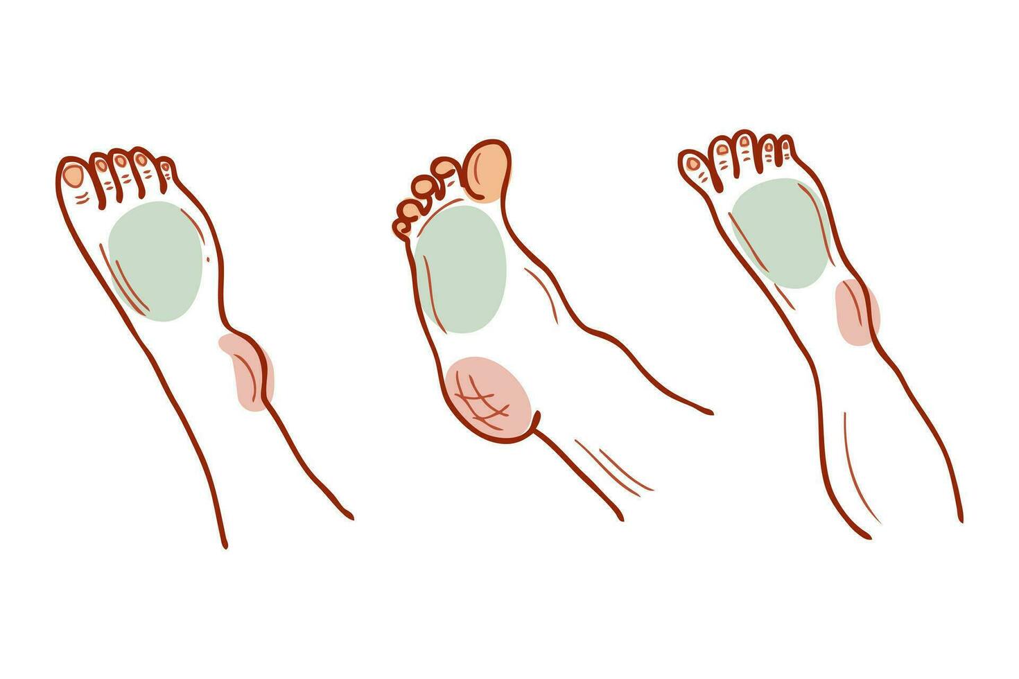 verschillend voeten en poten lichaam onderdelen verzameling. huid zorg, welzijn en podologie concept. vector