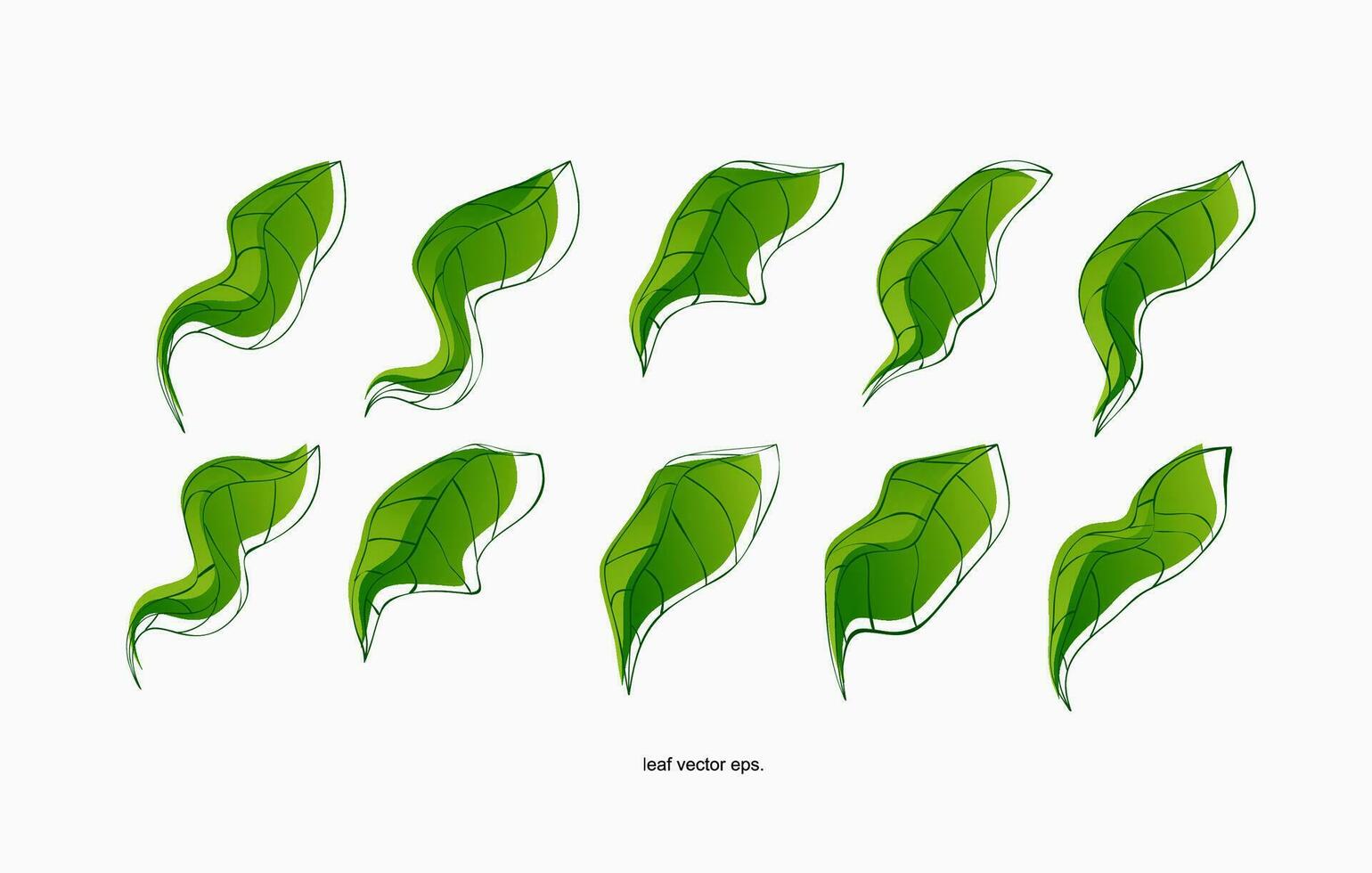 een reeks van groen bladeren Aan een wit achtergrond vector