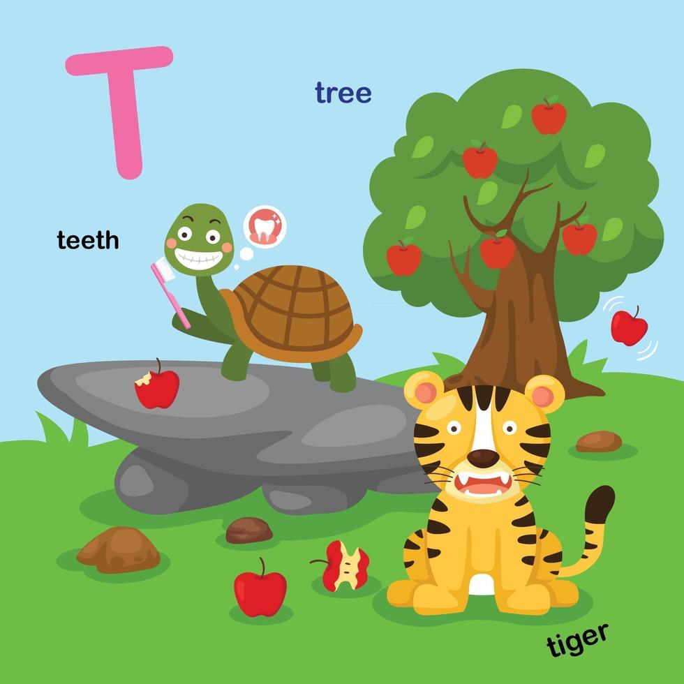 illustratie geïsoleerde alfabet letter t-teeth, tiger, tree.vector vector