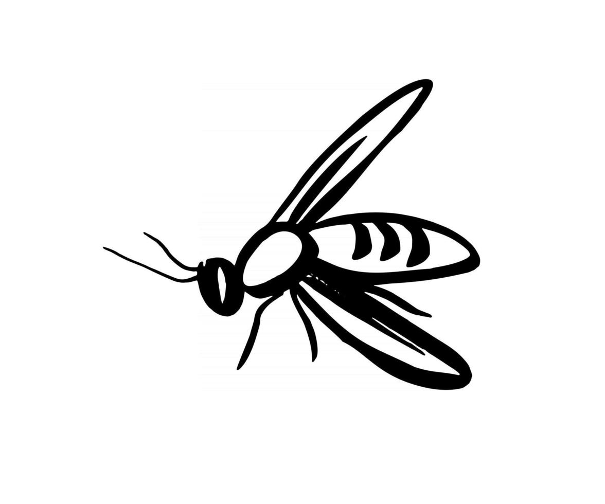 insect wesp illustratie vector