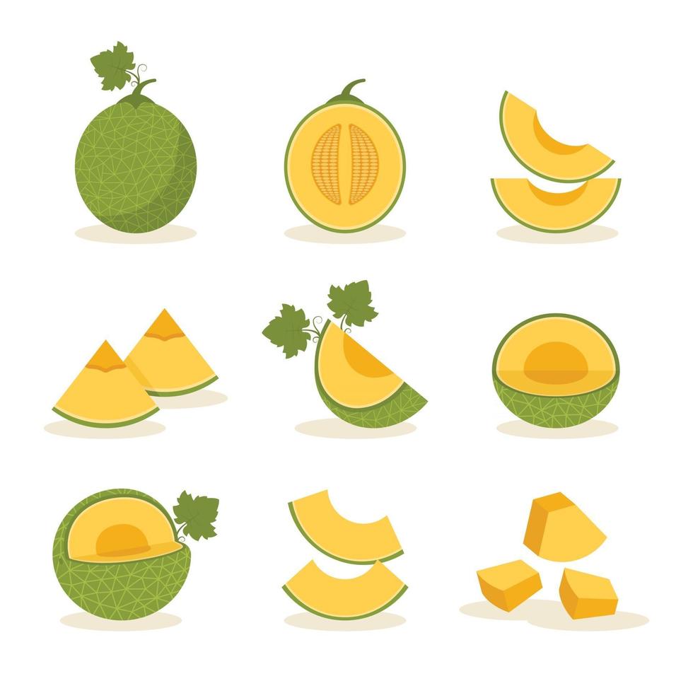 set van meloen fruit pictogrammen vector