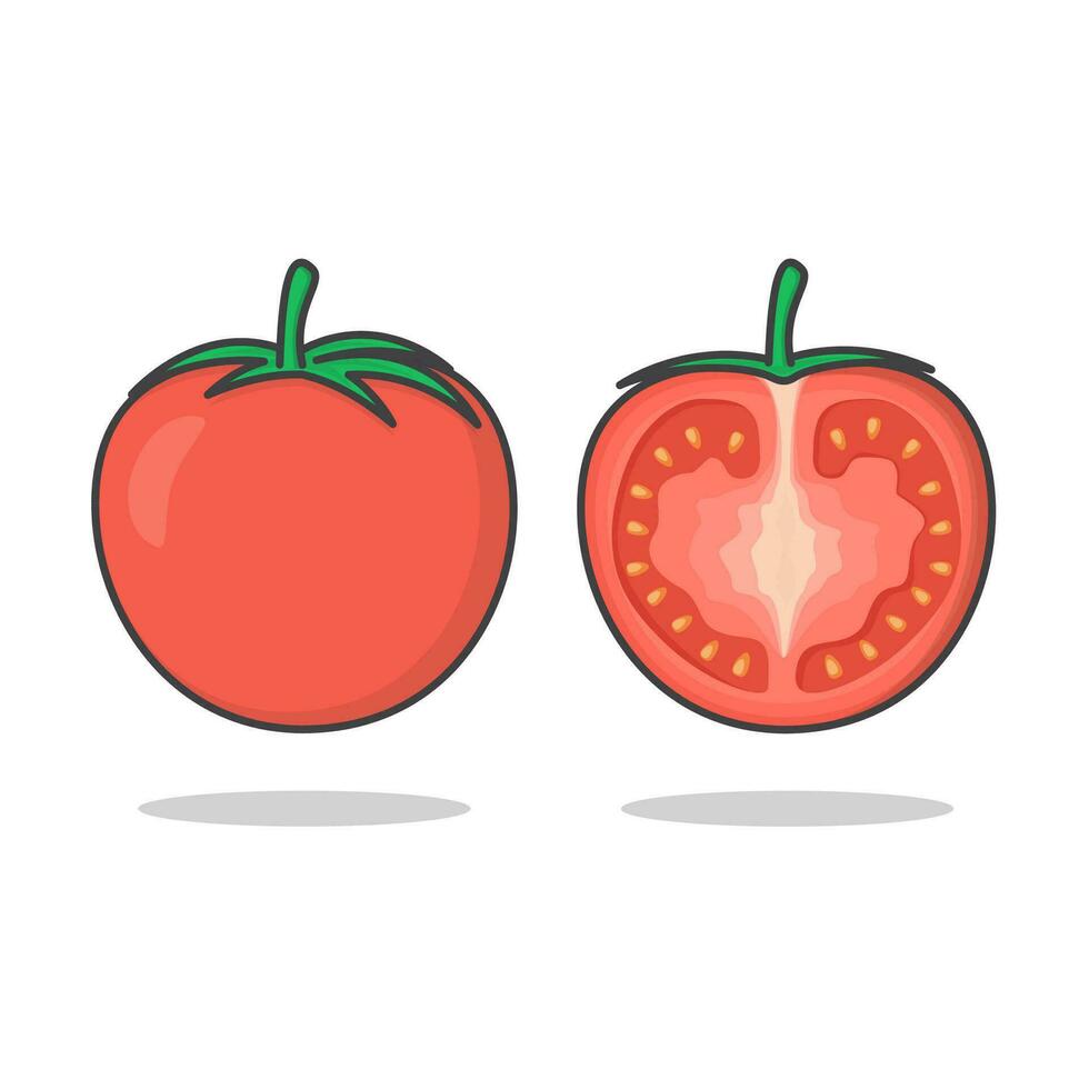 vers tomaat vector icoon illustratie. geheel en plak van tomaat vlak icoon