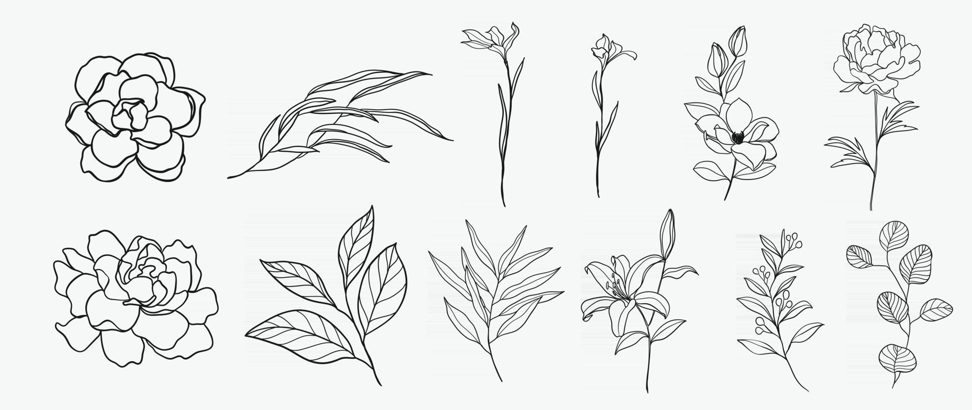 minimaal botanisch handtekeningontwerp voor logo en huwelijksuitnodiging. bloemen lijntekeningen. bloem en bladeren design collectie voor boeketten decoratie, kaart en verpakking achtergrond. vector