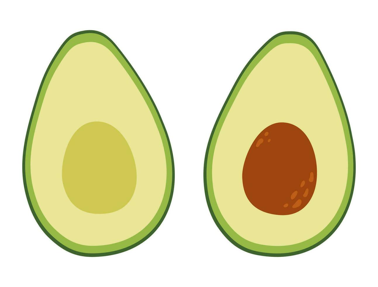 twee helften van een avocado. rauw vers groen groente met kern en pit. gezond vegetarisch voedsel. geïsoleerd vector illustratie in vlak stijl.