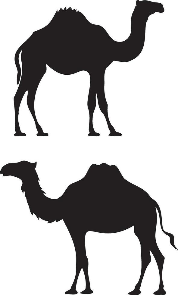 silhouet van kameel. wild leven dier voor Egypte thema vector