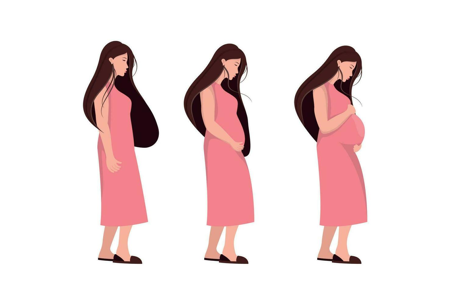 de hoofd stadia van zwangerschap. veranderingen in een vrouw lichaam gedurende zwangerschap week door week. reeks voor infographics. zwangerschap kalender. vlak voorraad vector illustratie.