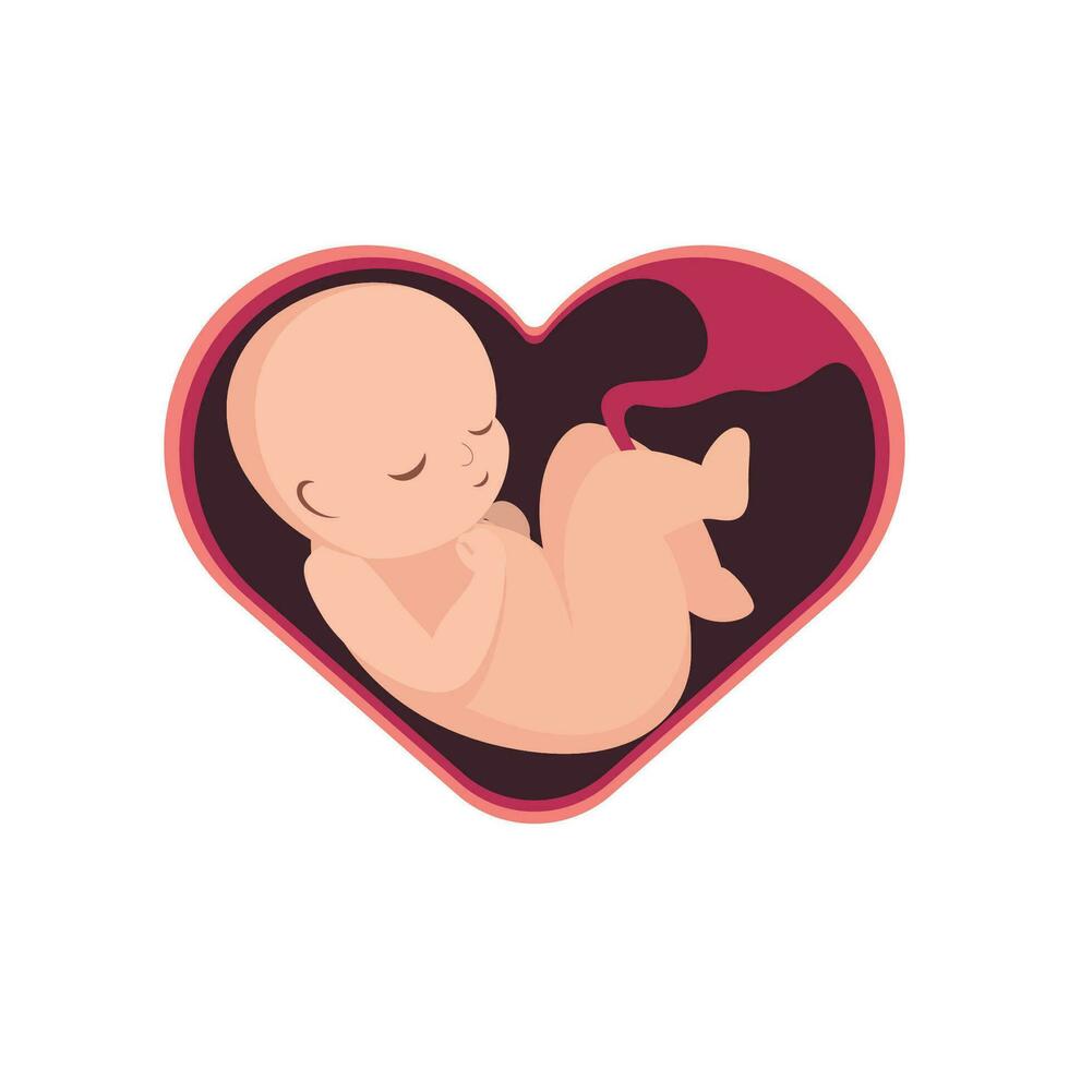 vlak infographic icoon vector foetus zwangerschap embryo maand stadia, baby liefde