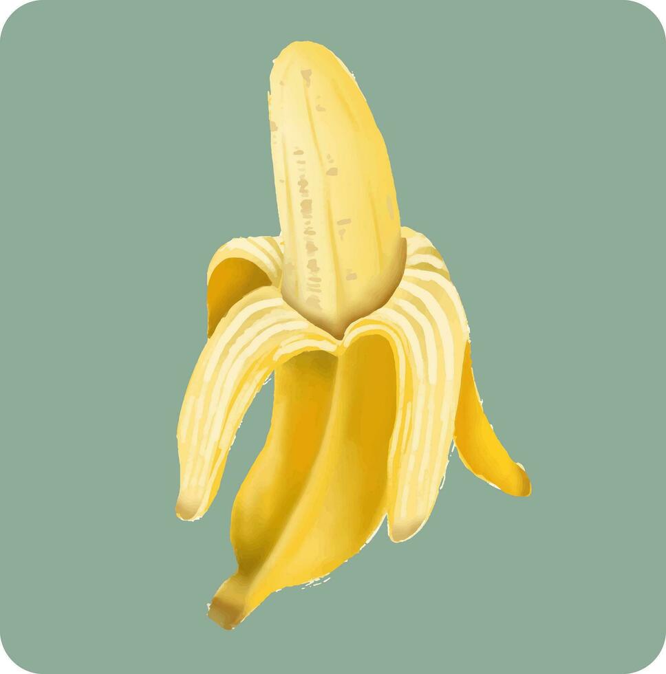 hand- getrokken vers banaan ontwerp vector