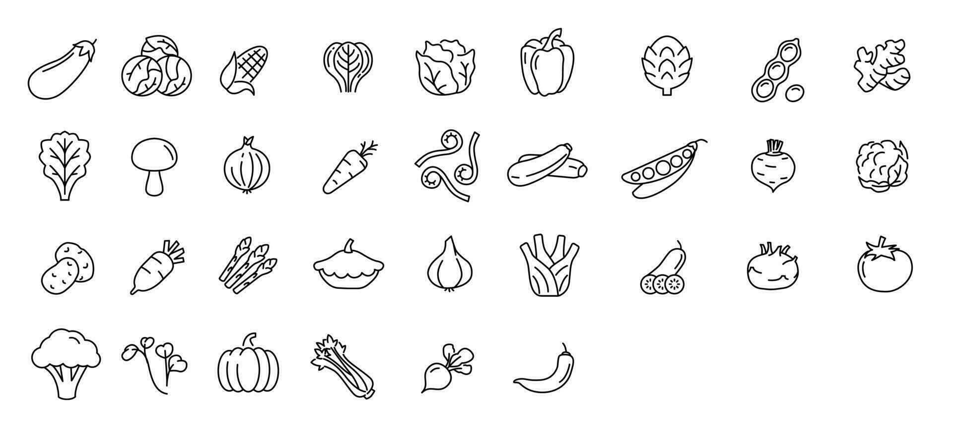 groente icoon set. minimaal dun lijn stijl. schets pictogrammen verzameling groenten courgette, tomaat, radijs, paddestoel, gember, venkel, maïs, selderij. vector illustratie ontwerp Aan wit achtergrond eps 10