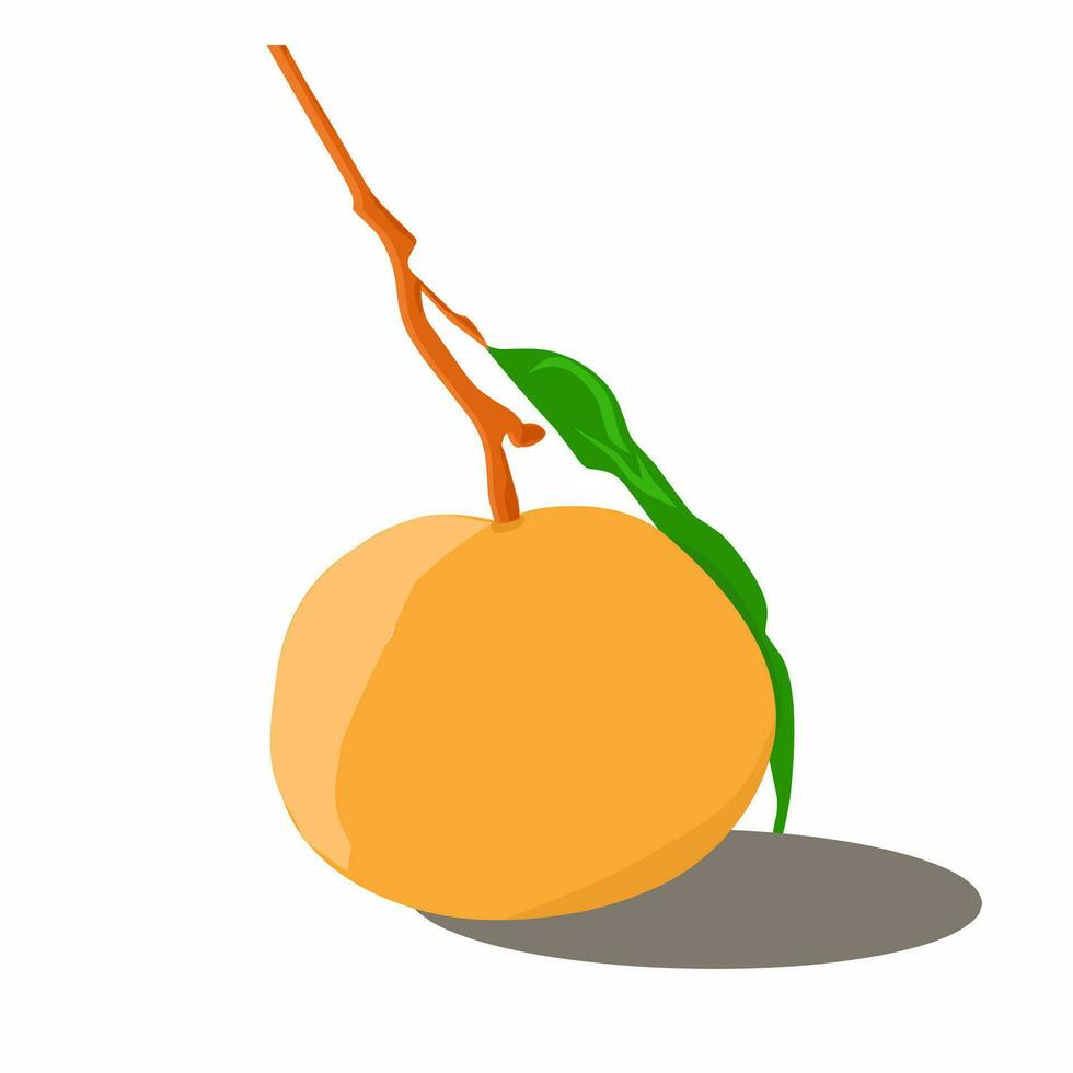 vector illustratie van oranje fruit met bladeren. geïsoleerd wit achtergrond