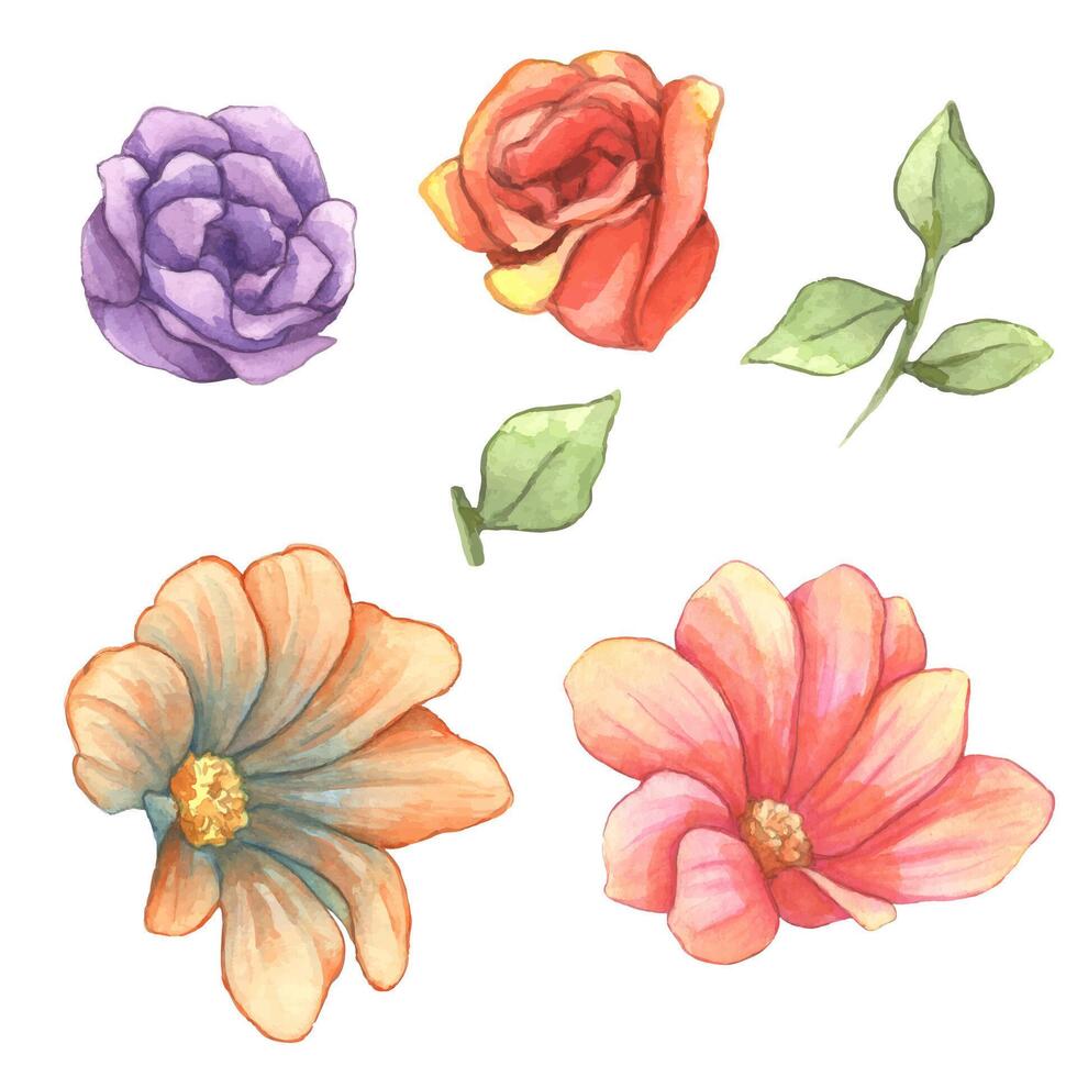 set aquarel bloemen boeket met individuele elementen. bloemenillustratie van zacht bloemenarrangement. botanisch compositieontwerp vector