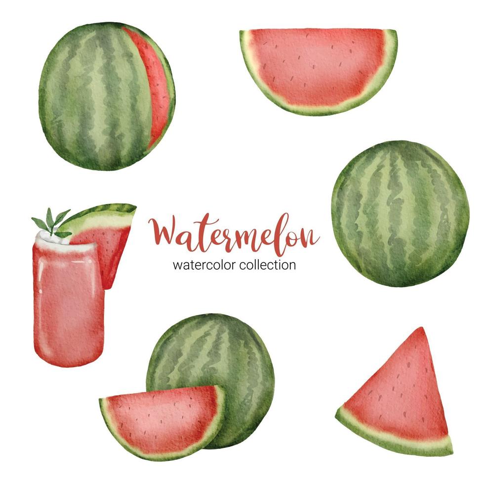 watermeloen in fruit aquarel collectie platte vector op witte achtergrond