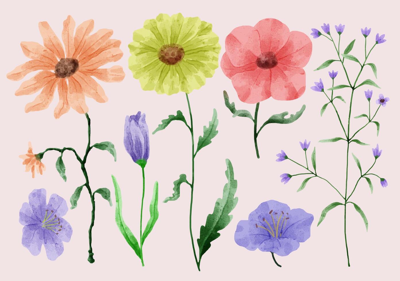 een set bloemen geschilderd in aquarel voor verschillende kaarten en wenskaarten. vector