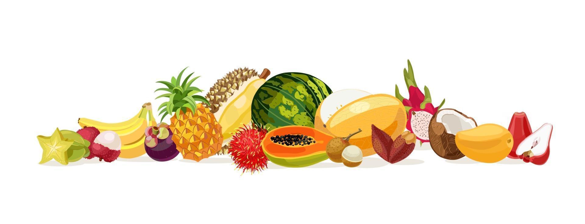 Thaise vruchten. fruit uit thailand. banaan, kokosnoot, meloen, watermeloen, carambola, papaya, rozenappel, durian, lichee, mango, mangosteen, drakenvruchten, ramboetan, ananas. vector illustratie