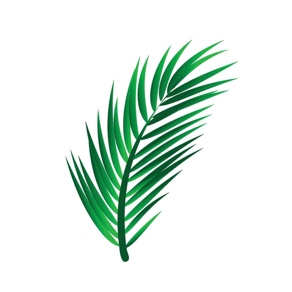 vector mooi decoratief groen palm blad illustratie ontwerp