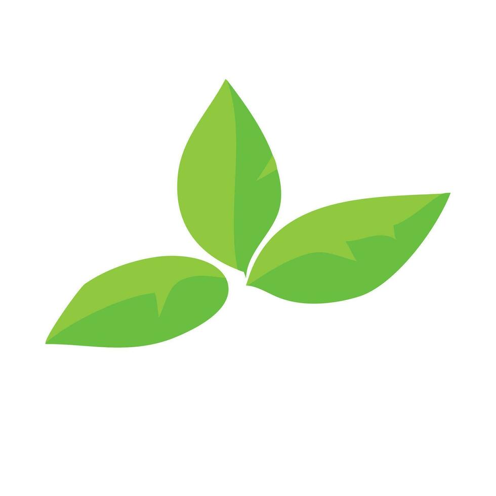 vector realistisch tropisch planten groen blad ontwerp