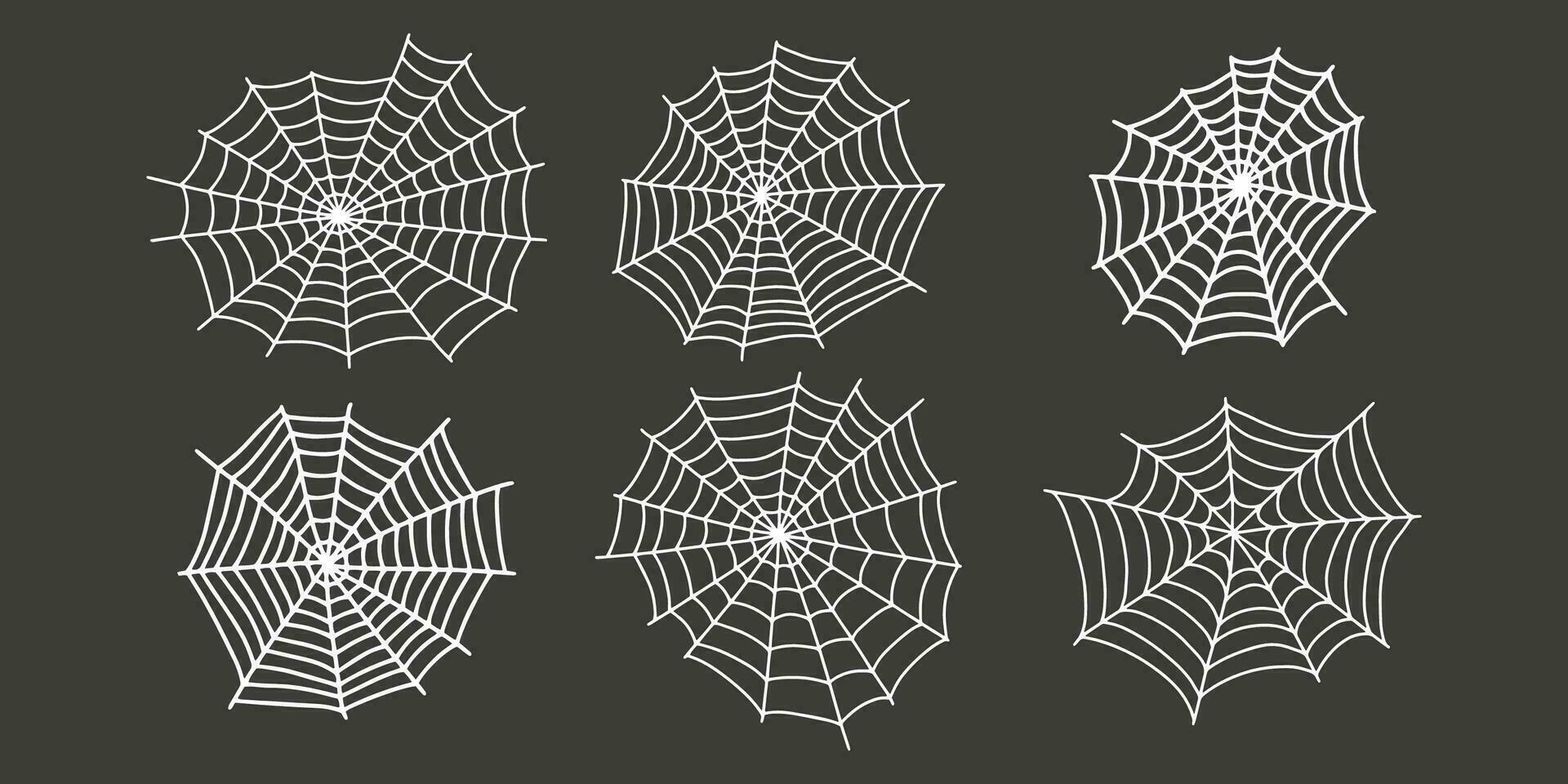 spinneweb. spookachtig halloween spin web. vector geïsoleerd illustratie. flinterdun. spinnenweb schets teken