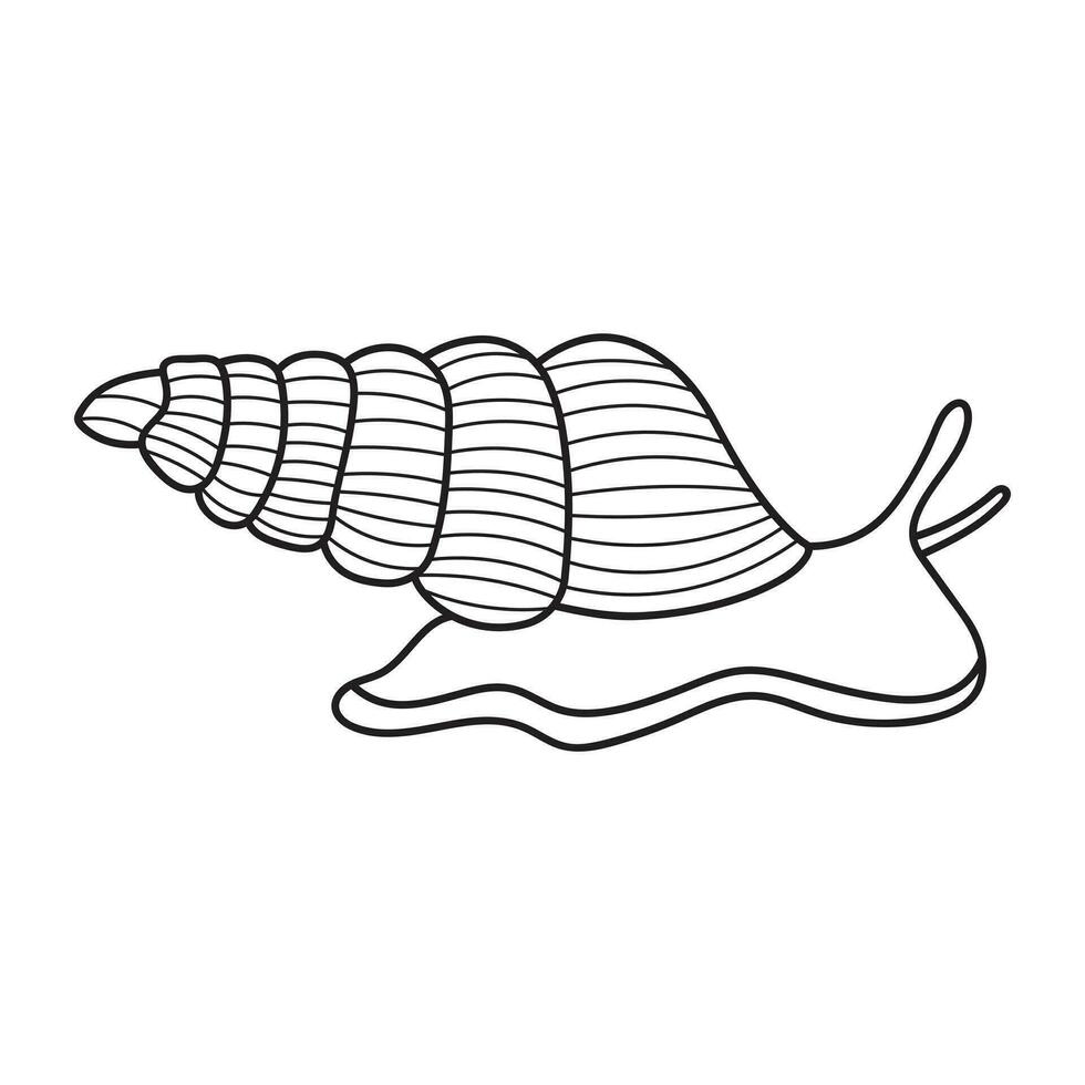 hand- getrokken tekenfilm vector illustratie zee slak icoon geïsoleerd Aan wit achtergrond