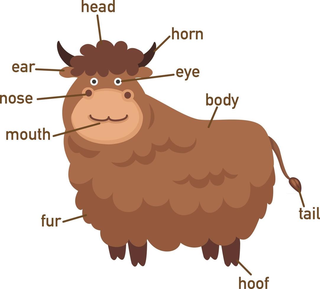 illustratie van yak-vocabulaire onderdeel van body.vector vector