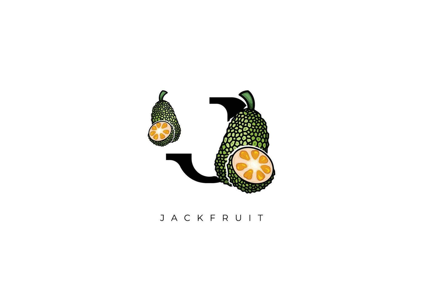 fruit vector - jackfruit