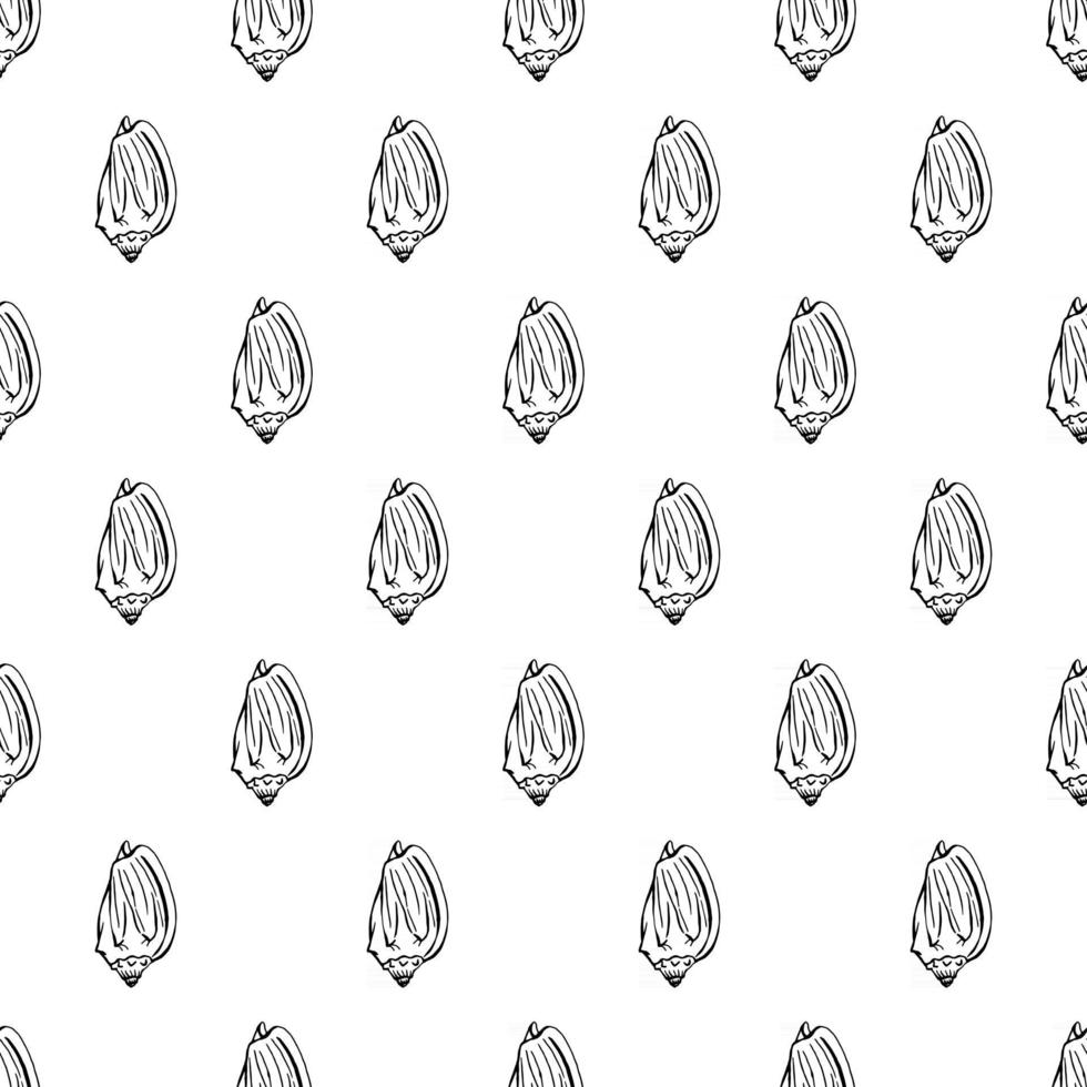 naadloos patroon met schelpen. mariene achtergrond. hand getekend vectorillustratie in schets stijl. perfect voor groeten, uitnodigingen, kleurboeken, textiel, bruiloft en webdesign vector