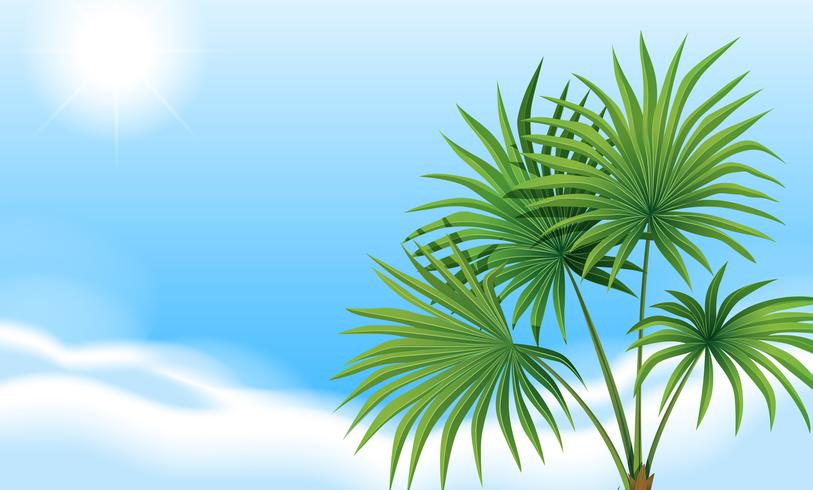 Een palmplant en een heldere blauwe lucht vector