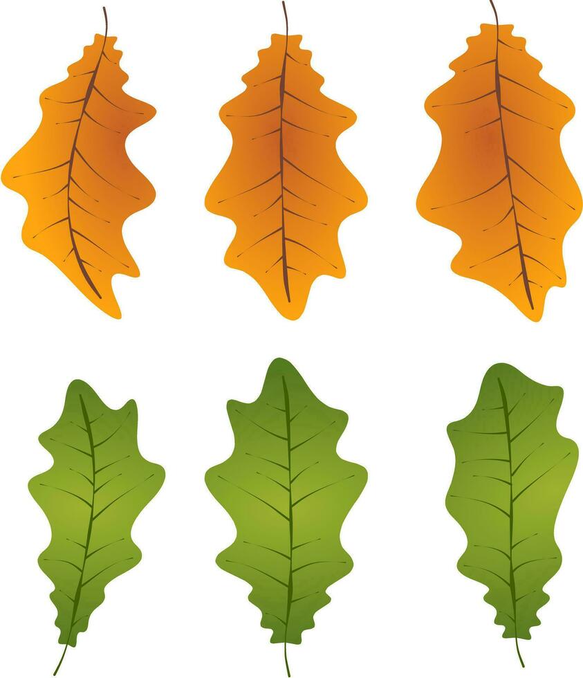 herfst doorbladert gebladerte gedaald grafisch geïllustreerd kleuren oranje groen PNG vector