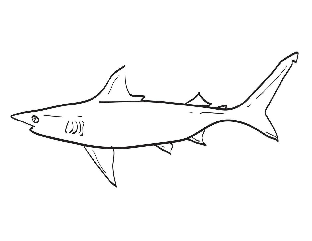 atlantic blacktip haai vis in nieuw Engeland en midden atlantic tekenfilm tekening vector