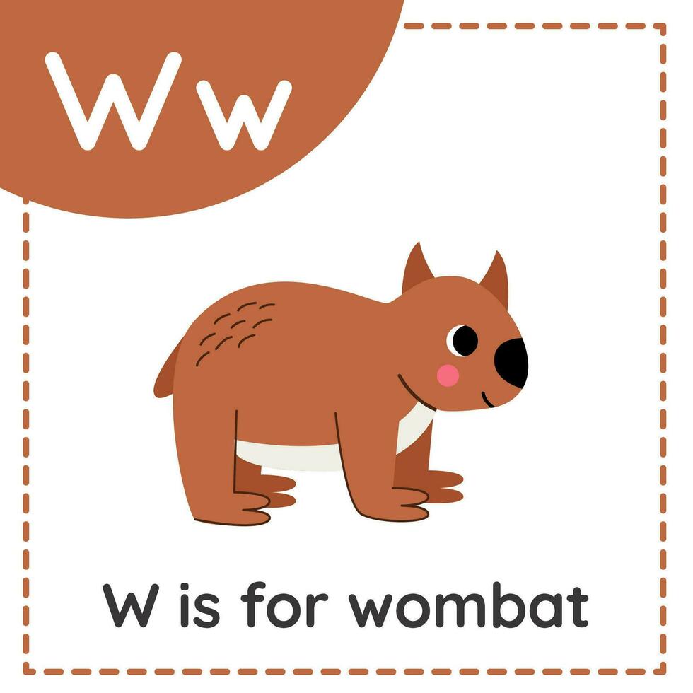 aan het leren Engels alfabet voor kinderen. brief w. schattig tekenfilm wombat. vector