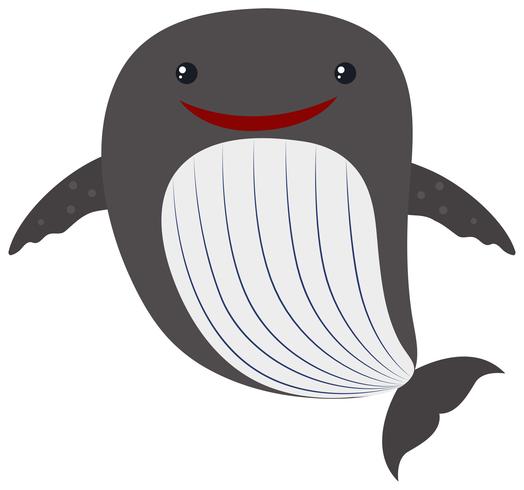 Walvis met blij gezicht vector