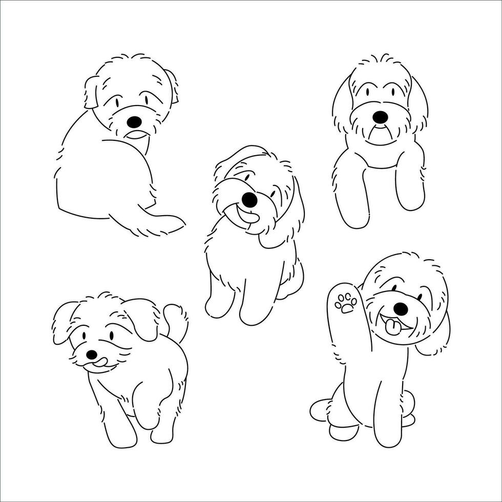 schattig Maltipoo honden lijn kunst vector reeks