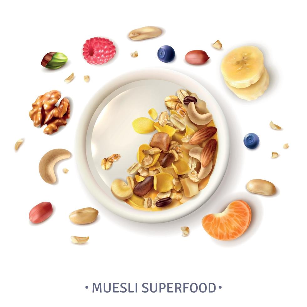 muesli superfood realistische samenstelling vectorillustratie vector