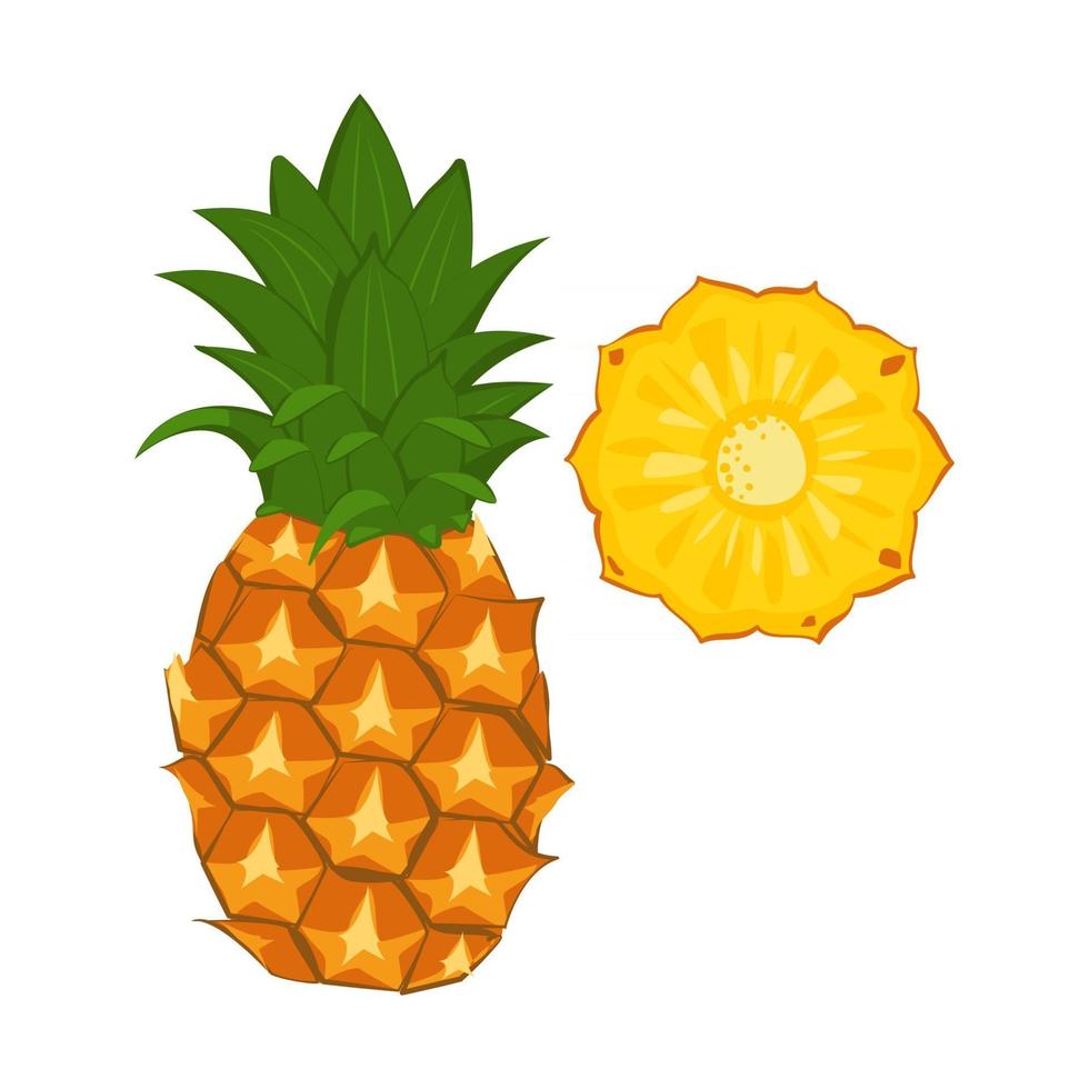 ananas icoon. zoet voedsel voor een gezond dieet, dessert. Exotisch fruit vector