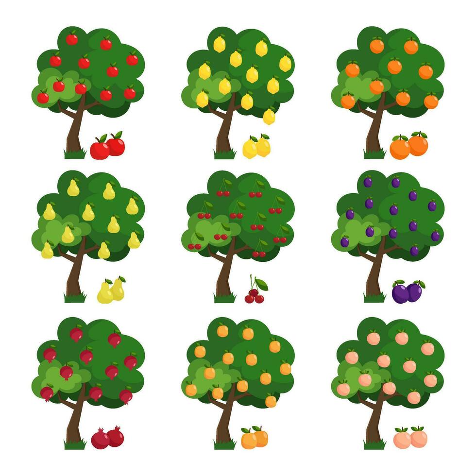 groot reeks van illustraties van fruit bomen. groen fruit boom vlak set. verschillend bomen met rijp fruit appel, pruim, Peer, kers, citroen, oranje. vector