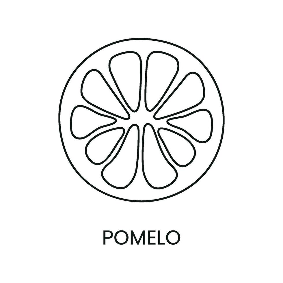 pomelo lijn icoon in vector, citrus fruit illustratie vector