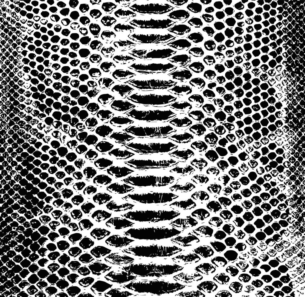 vector slang huid achtergrond. zwart-wit textuur