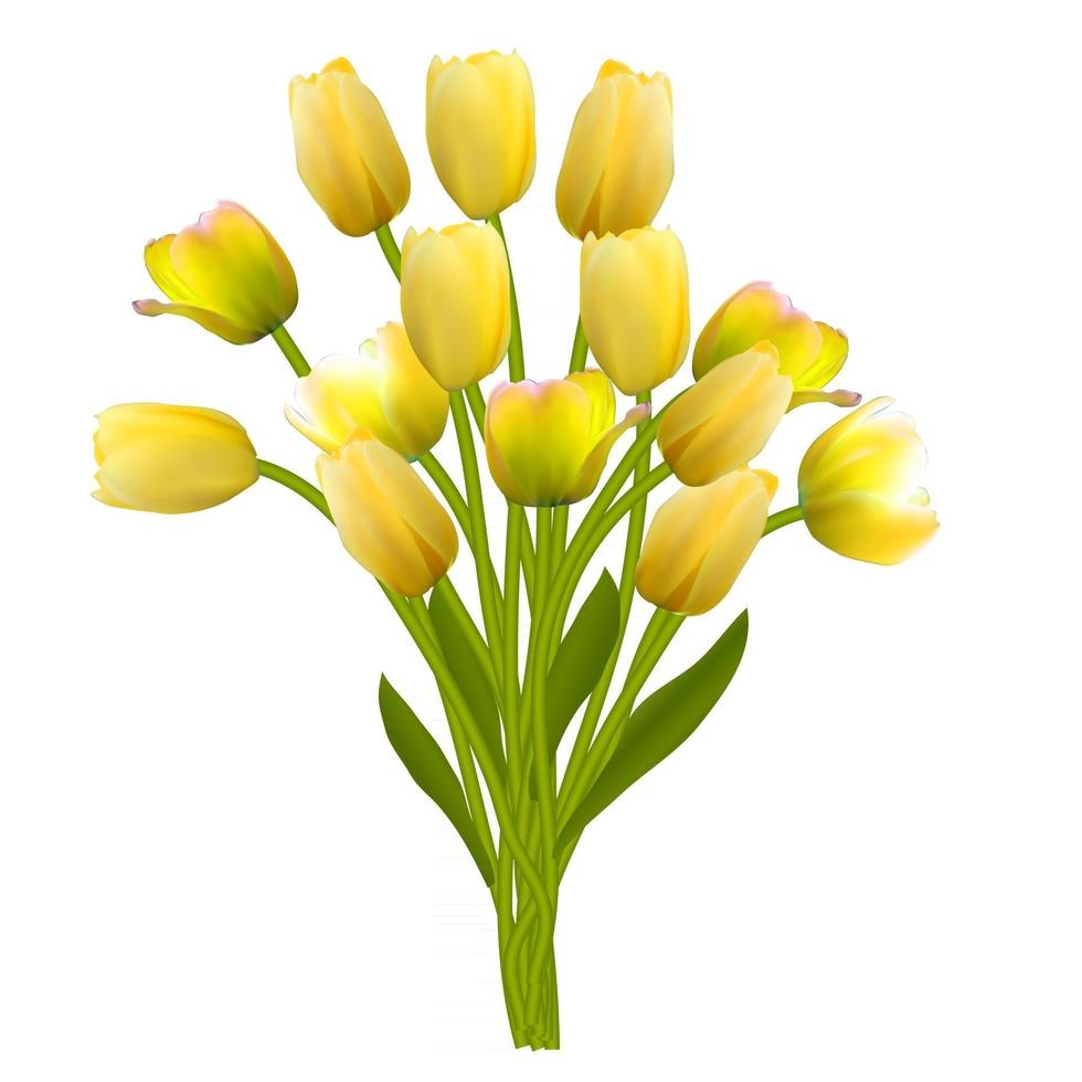 bloemen achtergrond met tulpen vectorillustratie vector