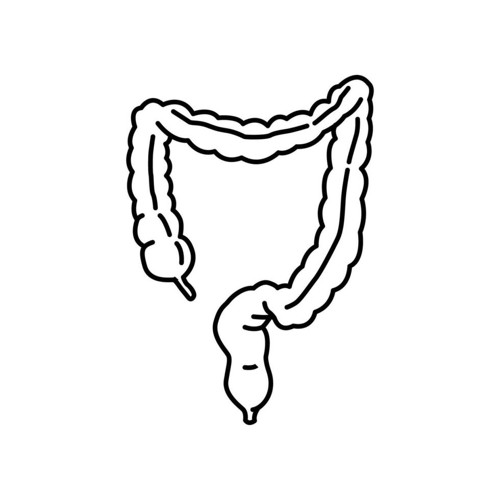 groot darm icoon. darmen spijsvertering systeem symbool. gezond spijsvertering een deel van intern lichaam orgaan. colitis, twaalfvingerige darm en dikke darm traktaat. vector illustratie ontwerp.