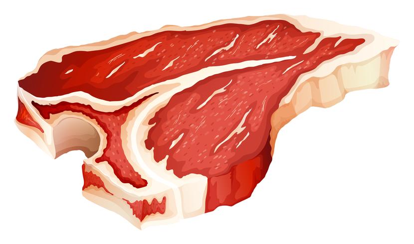 Tbone vlees vector