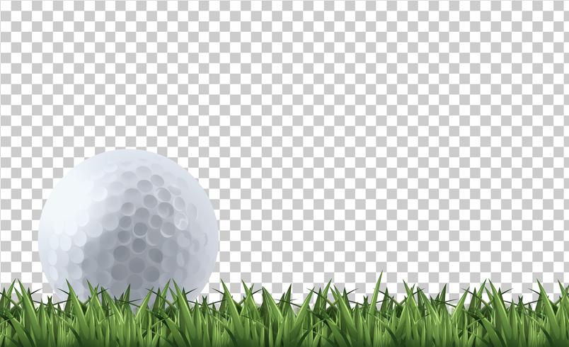 Golfbal op gras vector